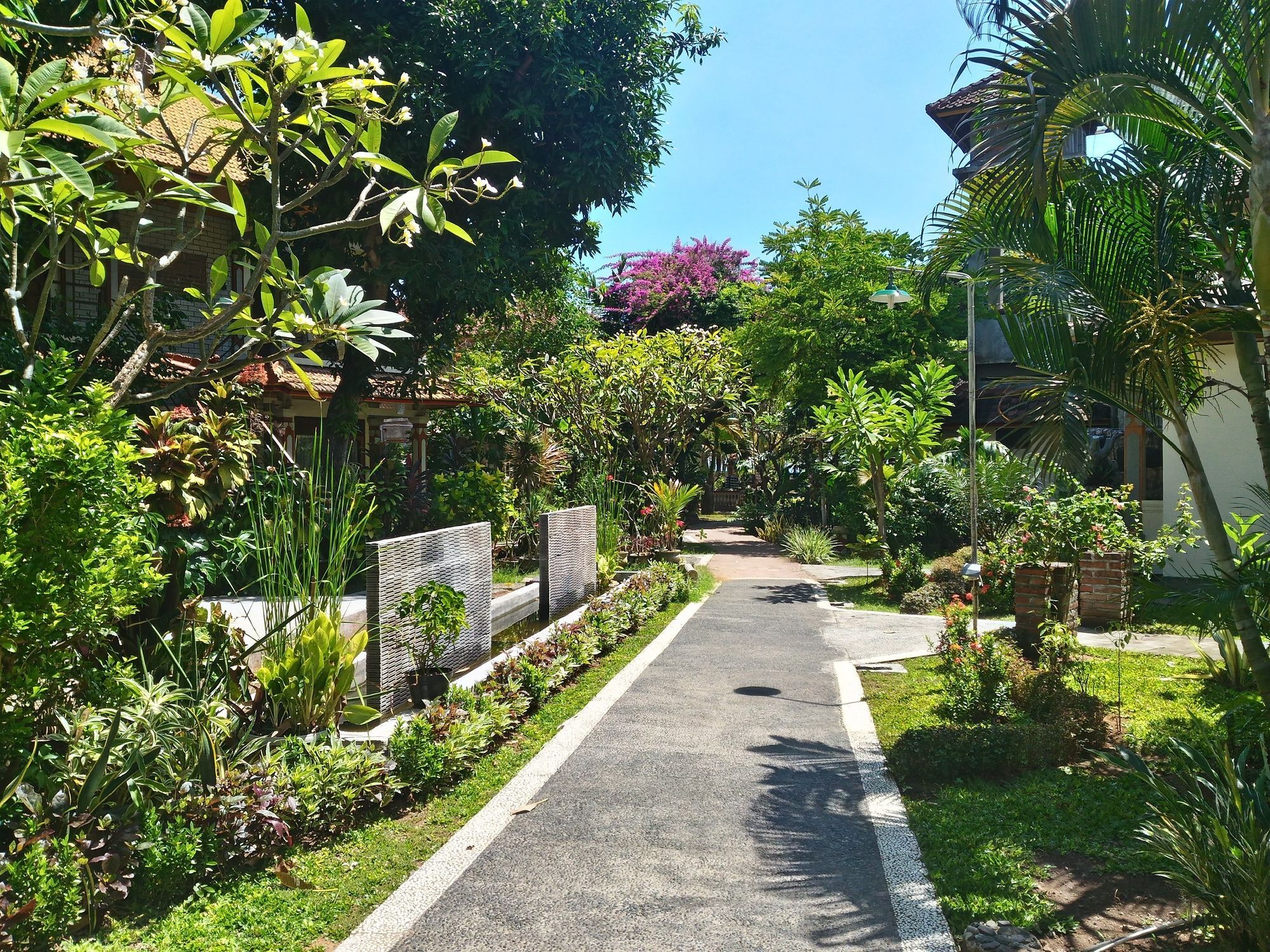 Lovina Beach Hotel Buleleng  Bagian luar foto